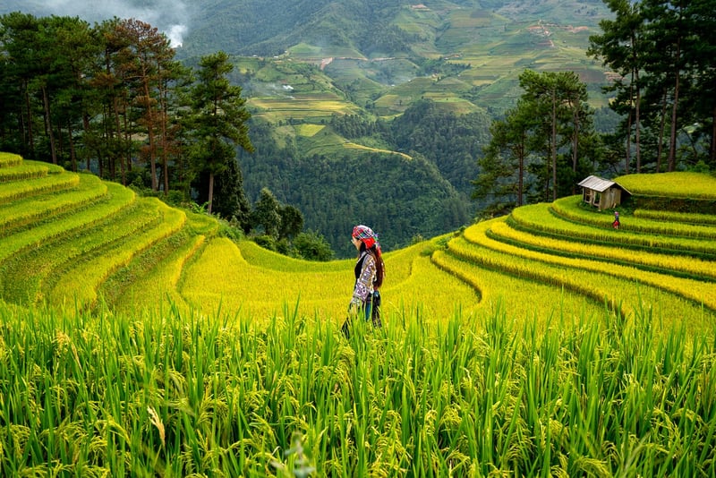 Healthy garden