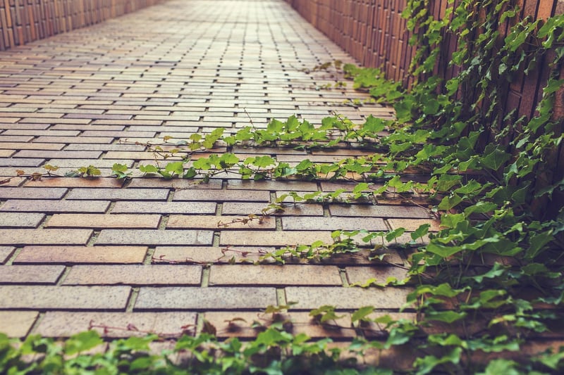 Green Wall