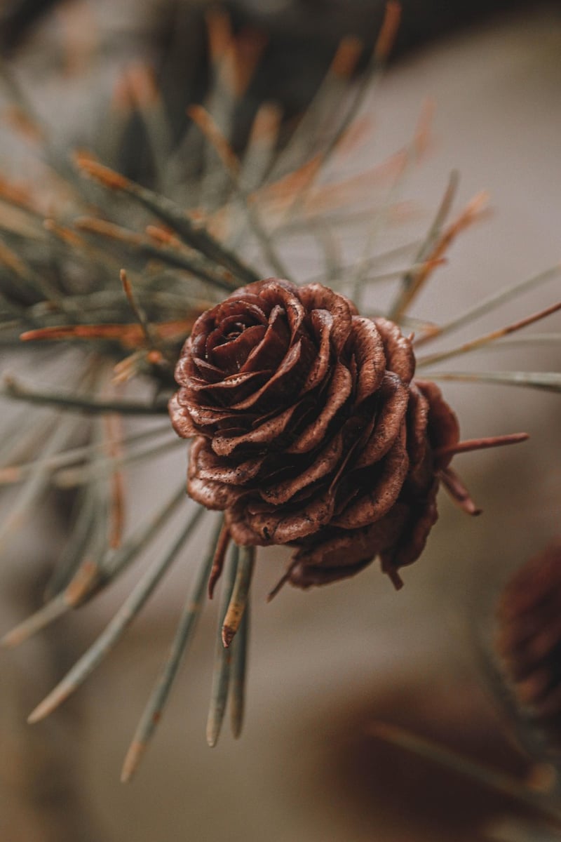 Nature-Inspired Designs